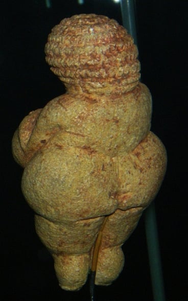Vênus de Willendorf / Vista postero-superior