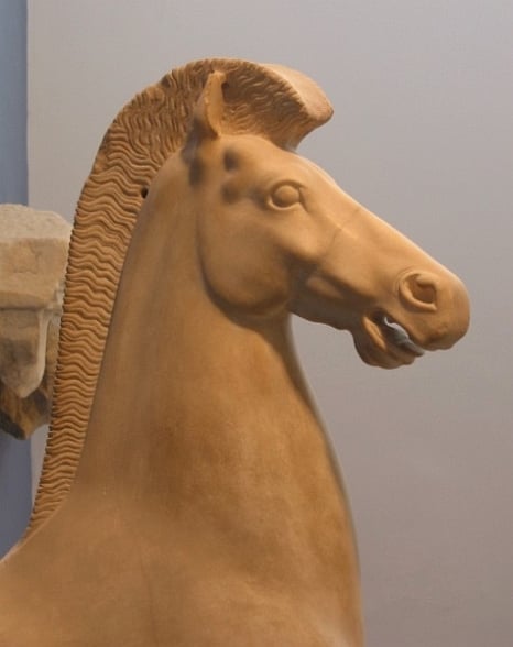 Um cavalo